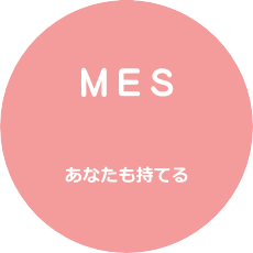 MES（ミーズ）