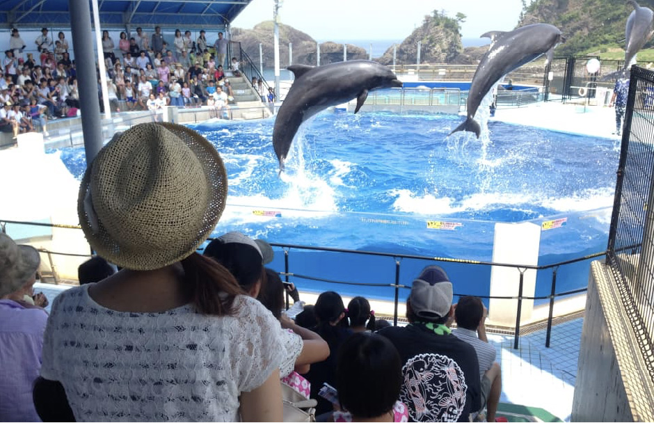 越前松島水族館